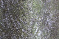 Moorhouse Bank fibreglass roof work